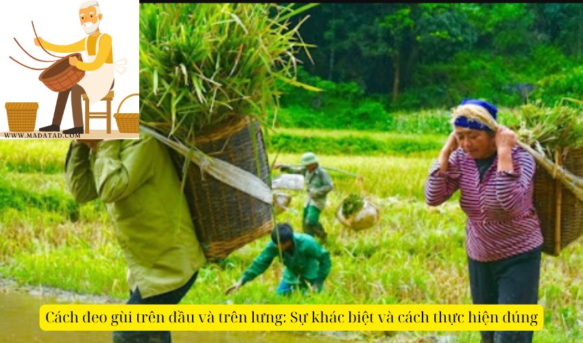 How to wear a basket on your head and on your back: Differences and how to do it correctly